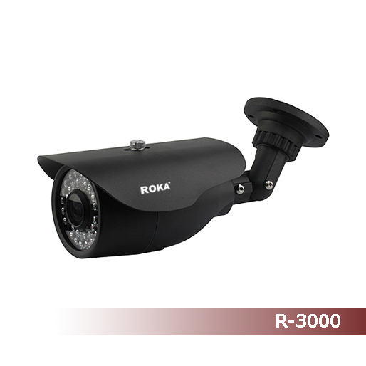 Новинка! IP-камера R-2020 от ROKA! ! !