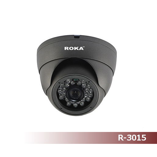 Новинка! IP-камера R-2020 от ROKA! ! !